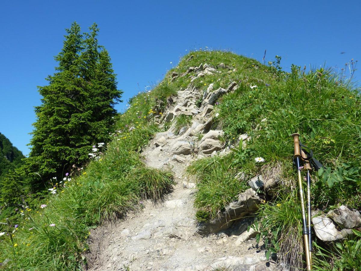 Gaestehaus Alpina Riezlern Dış mekan fotoğraf